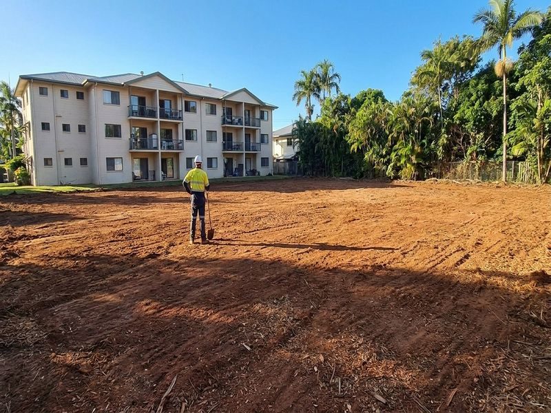 Multiple Palm Removal Cairns Qld