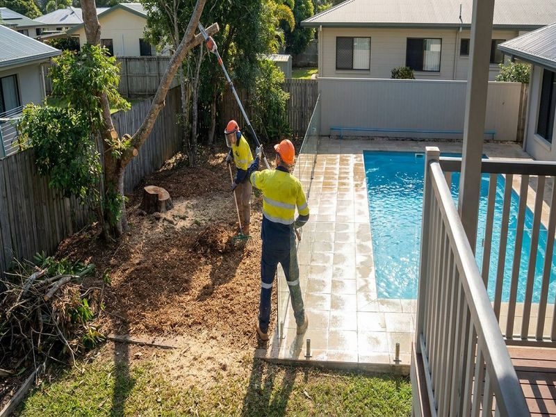 Selective Removal Better Views Cairns Qld
