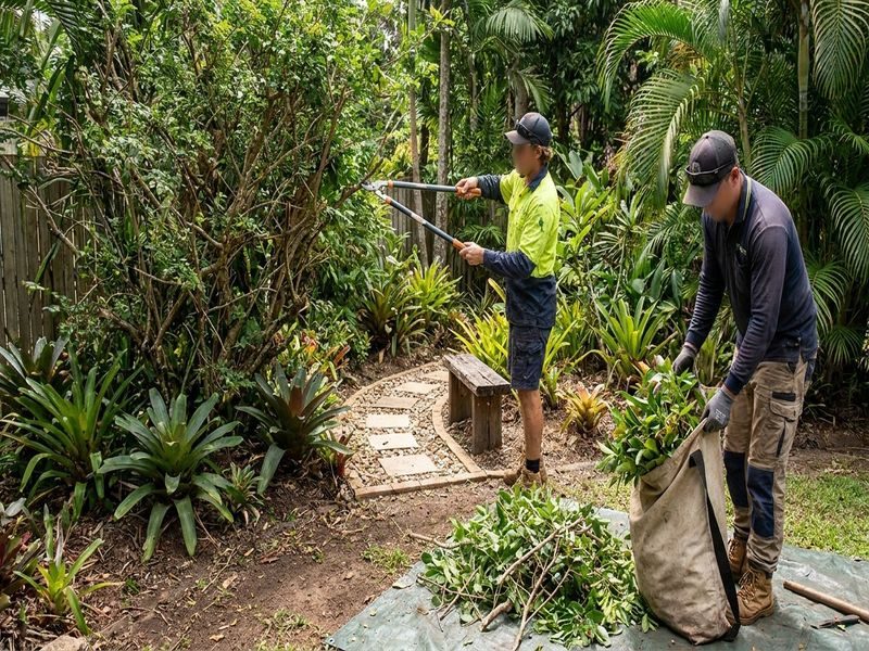 Selective Removal Landscape Redesign Cairns Qld